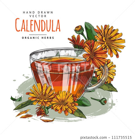 Vector template of a mug of tea with calendula flowers. Design with place for text. 111735515
