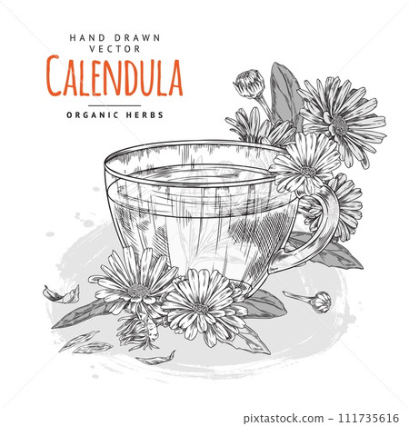 Hand drawn monochrome glass cup of tea and calendula flowers and leaves 111735616