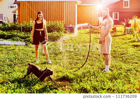 White man in shorts and without shirt plays with dog, directing stream of water from hose towards animal, young woman watches fun. White man in shorts and without shirt plays with dog, directing stream of water from hose towards animal, young woman watches fun. 111736209