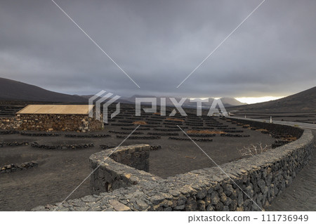 La Geria wine region in the heart of Lanzarote La Geria wine region in the heart of Lanzarote 111736949