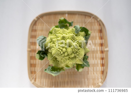 不合格的蔬菜、羅馬花椰菜無法運輸 111736985