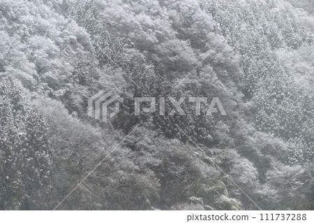 茨城縣醍醐町的雪景 茨城縣醍醐町的雪景 111737288