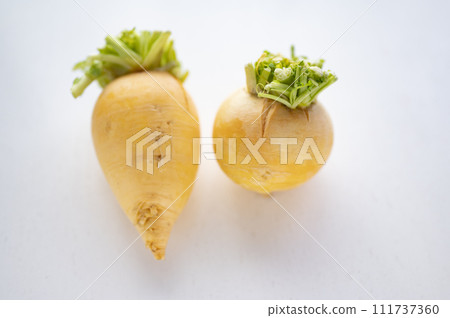 Substandard vegetables, golden turnips that cannot be shipped Substandard vegetables, golden turnips that cannot be shipped 111737360