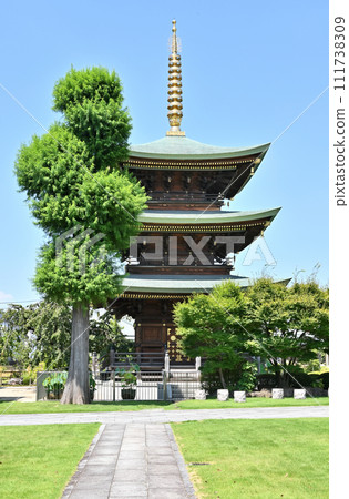 Warabi-juku Walk Nakasendo Warabi-san Gakuin Shingon Sect Chizan School Three-storied Pagoda 111738309