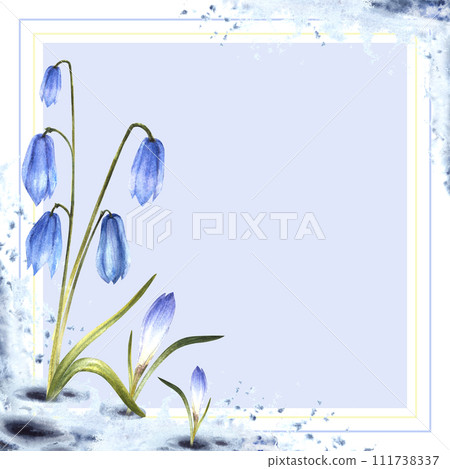 Watercolor painting spring primary flowers illustration Arrival of spring card template. Melting snow landscape blue scylla, crocuses, snowdrops plant sprouting through the snow Isolated background 111738337