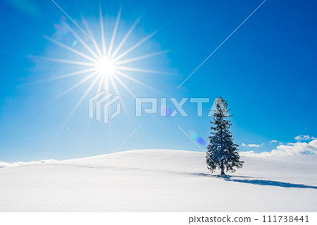 美瑛的冬天風景 111738441