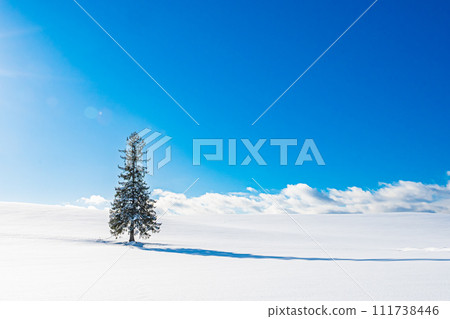 美瑛的冬天風景 美瑛的冬天風景 111738446
