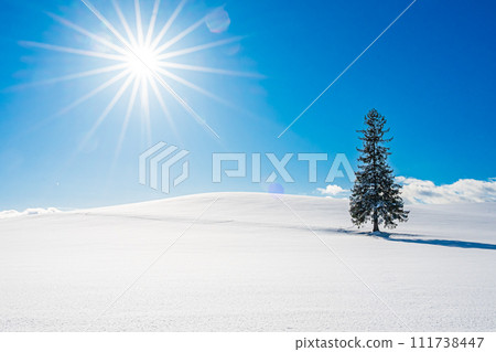美瑛的冬天風景 美瑛的冬天風景 111738447