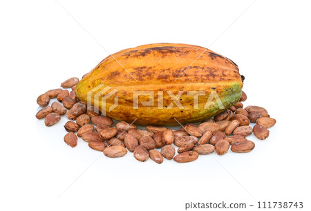 ripe cocoa and cococa beans isolated on white background 111738743