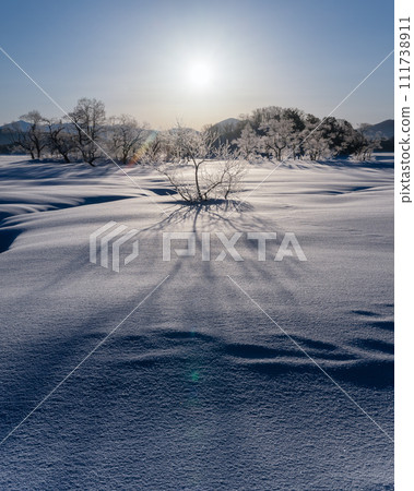 福島縣北鹽原村，日野原湖，冬天的早晨 111738911