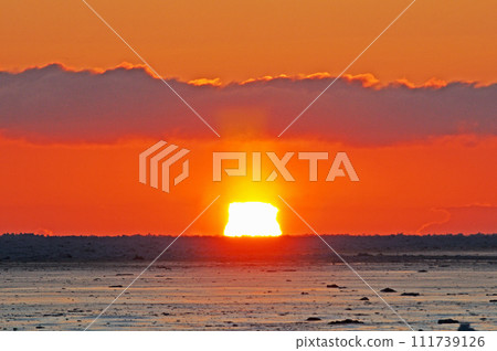 Sea of drift ice and square sun 111739126