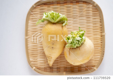 不合格蔬菜、金蘿蔔無法出貨 不合格蔬菜、金蘿蔔無法出貨 111739320