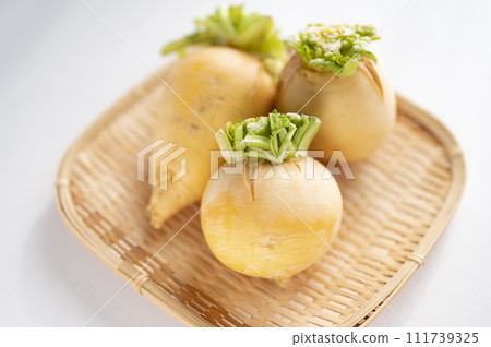 Substandard vegetables, golden turnips that cannot be shipped Substandard vegetables, golden turnips that cannot be shipped 111739325