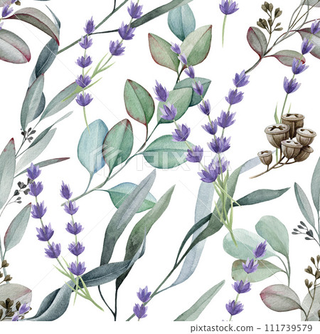Eucalyptus lavender seamless pattern. Watercolor illustration. Natural herbs elegant ornament. Hand drawn lavender and eucalyptus medical organic plant seamless pattern. White background 111739579