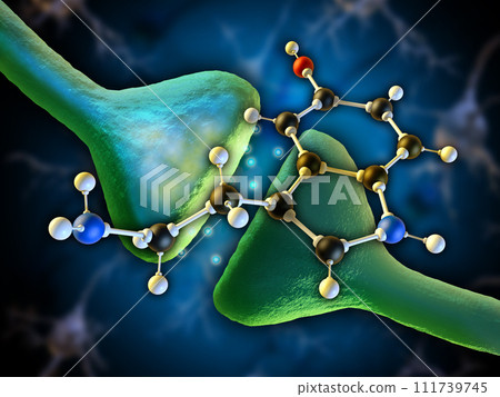 Serotonin Serotonin 111739745