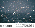 雪地 111739861