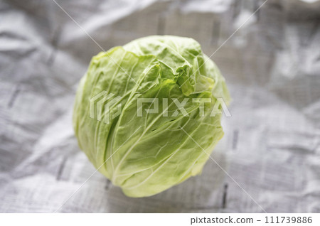 Substandard vegetables, cabbage that cannot be shipped Substandard vegetables, cabbage that cannot be shipped 111739886