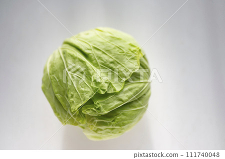 不合格蔬菜、白菜無法運輸 111740048