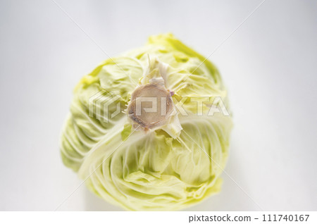 不合格蔬菜、白菜無法運輸 不合格蔬菜、白菜無法運輸 111740167