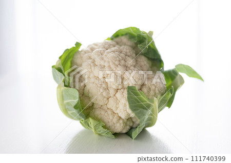 不合格的蔬菜、菜花無法運輸 不合格的蔬菜、菜花無法運輸 111740399