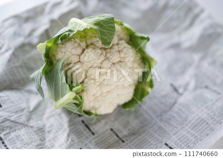 不合格的蔬菜、菜花無法運輸 不合格的蔬菜、菜花無法運輸 111740660