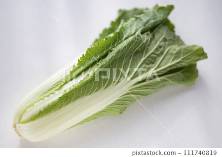 Substandard vegetables, Chinese cabbage that cannot be shipped 111740819