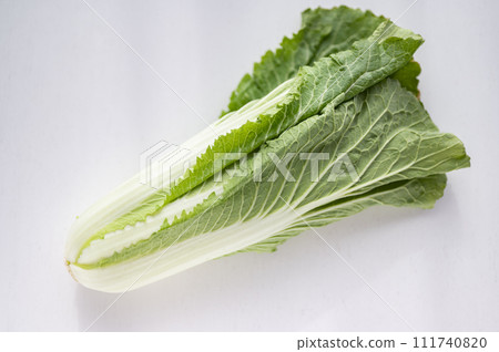 Substandard vegetables, Chinese cabbage that cannot be shipped 111740820