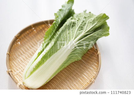 不合格蔬菜、無法運輸的大白菜 111740823