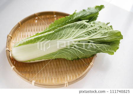 不合格蔬菜、無法運輸的大白菜 不合格蔬菜、無法運輸的大白菜 111740825