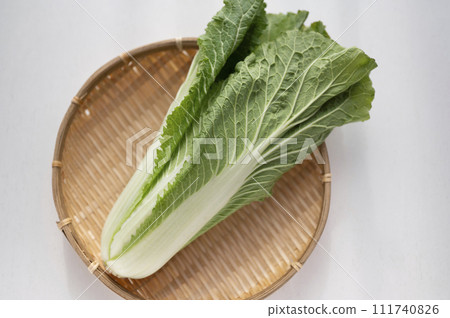 Substandard vegetables, Chinese cabbage that cannot be shipped 111740826