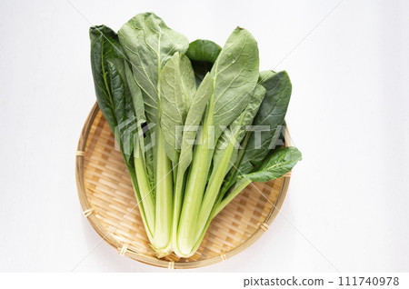 不能出貨的不合格蔬菜、小松菜 不能出貨的不合格蔬菜、小松菜 111740978