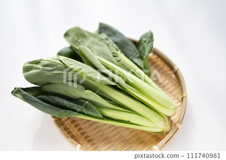 Substandard vegetables, Komatsuna that cannot be shipped Substandard vegetables, Komatsuna that cannot be shipped 111740981