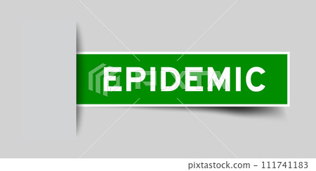 Green color square label sticker with word epidemic that inserted in gray background 111741183