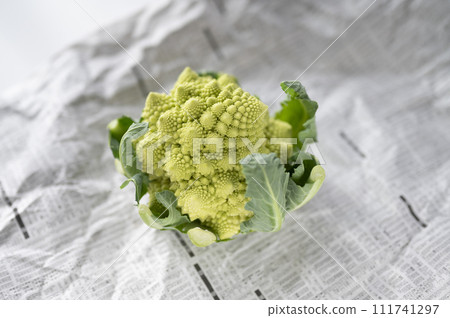 不合格的蔬菜、羅馬花椰菜無法運輸 111741297