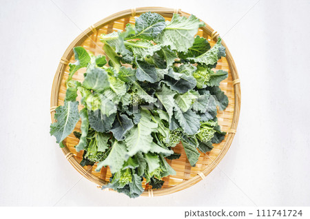 西蘭花稀綠葉菜 111741724