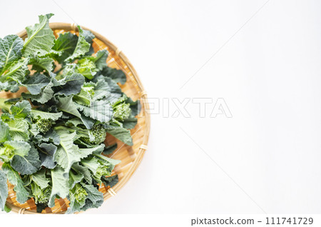 西蘭花稀綠葉菜 111741729