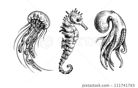 Underwater world clipart with sea animals octopus, seahorse, jellyfish. Graphic illustration hand drawn in black ink. A set of isolated elements EPS vector 111741783