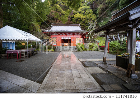 Kamakura 242 Egara Tenjin Shrine 1 Plum 111741810