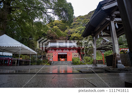 Kamakura 242 Egara Tenjin Shrine 2 Plum 111741811