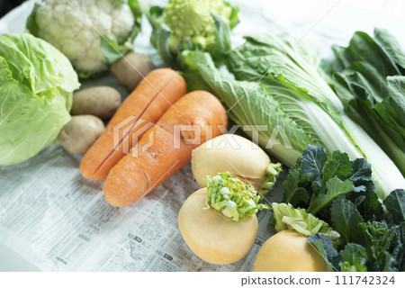 substandard vegetables, 111742324