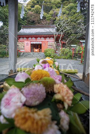 Kamakura 242 Egara Tenjin Shrine 24 Flower Hand Water Kamakura 242 Egara Tenjin Shrine 24 Flower Hand Water 111742478