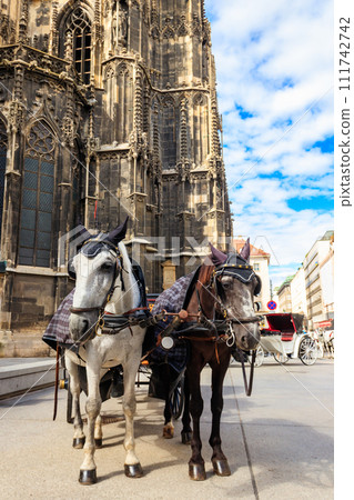 Horse drawn carriage near St. Stephen's Cathedral in Vienna, Austria. Traditional touristic transport attraction in Vienna Horse drawn carriage near St. Stephen's Cathedral in Vienna, Austria. Traditional touristic transport attraction in Vienna 111742742