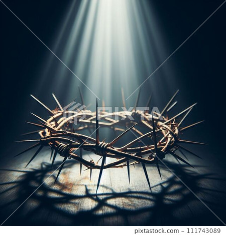 crown of thorns placed 111743089