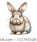 兔子畫水彩 111743328