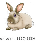 兔子朝前 111743330