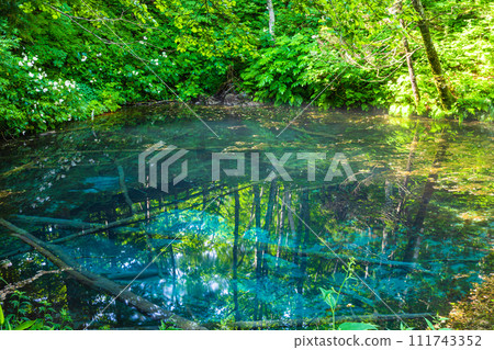 [北海道_清裡町] 充滿祕境感的上之子池 111743352