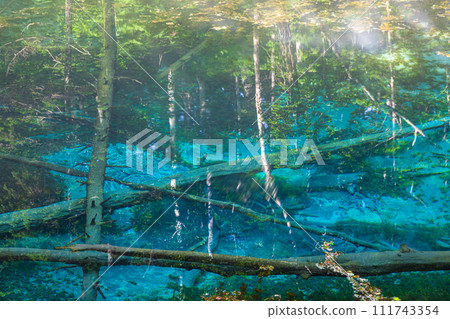 [Hokkaido_Kiyosato Town] Kaminoko Pond with a sense of unexplored region July August 111743354