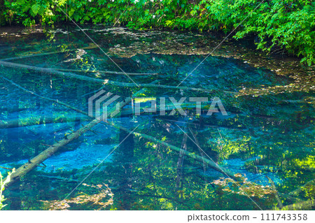 [Hokkaido_Kiyosato Town] Kaminoko Pond with a sense of unexplored region July August 111743358