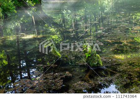 [Hokkaido_Kiyosato Town] Kaminoko Pond with river mist July August 111743364