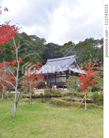 Autumn leaves at Omido Kannonji Temple in Kyotanabe Autumn leaves at Omido Kannonji Temple in Kyotanabe 111743513